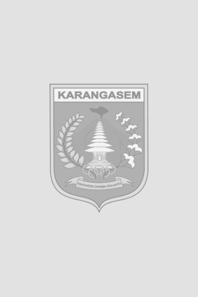Peraturan Bupati Karangasem Nomor 28 Tahun 2023 Tentang Kedudukan, Susunan Organisasi, Tugas, dan Fungsi Serta Tata Kerja Perangkat Daerah